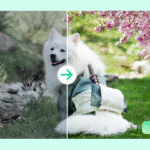 Snapseed QR Codes: Quick Filters for Instant Creative Edits