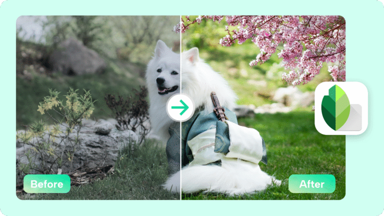 Snapseed QR Codes: Quick Filters for Instant Creative Edits